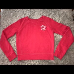 Pink Hollister fall sweatshirt hoodie red teen